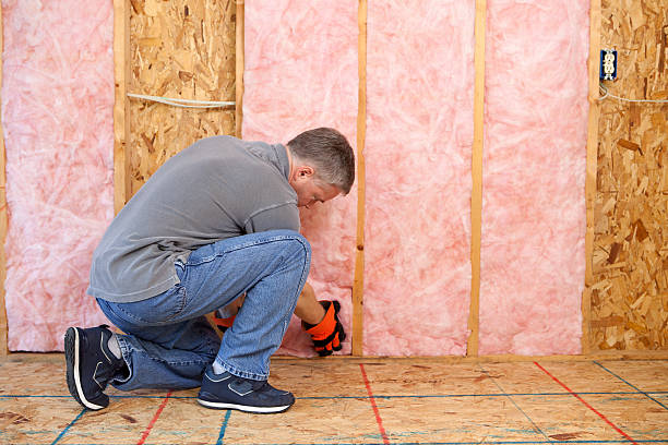 Best Insulation for New Construction  in Decatur, GA